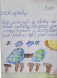Holské rybníky